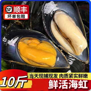 Qidao sea-caught large green-mouthed clams, fresh extra-large sea mussels, fresh frozen seafood, mussels, green-mouthed clams, aquatic products 3jin jin equals 0.5kg (net weight) fresh seafood will spit water