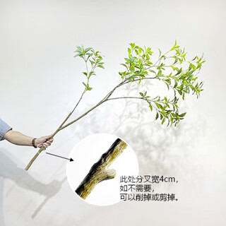 Flower e-flow simulated green plant mazuimu light luxury fake plant indoor living room clothing store window floor-standing ornaments hanging clock decoration mazuimu branch/1.6 meters