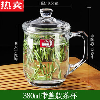 Count qiabei german imported quality glass tea cup with lid glass heat-resistant office men's tea cup with handle for home use