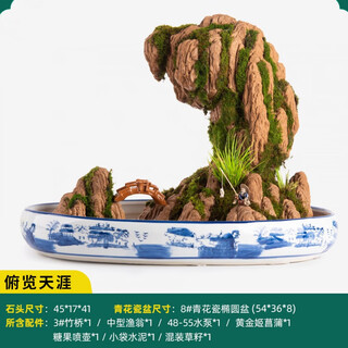 Smvp boutique indoor natural absorbent stone landscaping water stone ornaments landscape bonsai flowing water rockery micro landscape overlooking the end of the world (complete set)