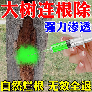 Special effect of big tree root rot medicine one drop of dead and powerful removal of big trees special one shot of dead and rotten root gardening fertilizer liquid single bottle 100ml 1 bottle