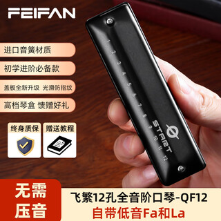 Feifan feifan 12-hole blues harmonica adult diatonic professional model beginner entry-level elementary school student special instrument 12-hole c key starting point 12 recommended for beginners