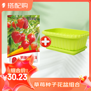 Huawoli cream red strawberry seeds 1000 + green gardener flower pot vegetable pot rectangular with tray