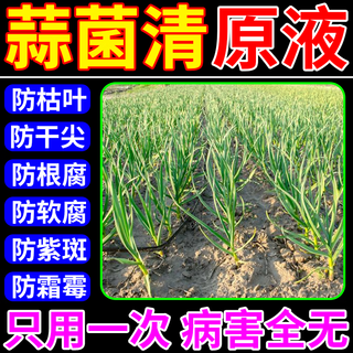 Garlic bacteria clear original solution, special garlic medicine, microbial inoculant, sterilization, disease resistance, disease prevention, mixable, sprayable, multi-effect in one, three bottles, buy 2 get 1 free