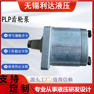 Huili's customized gear pump plp10.2do-8/plp20.14do-82s1-lge sanitation truck snowplow oil pump plp101