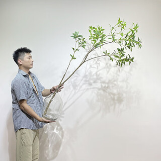 Flower e-flow simulated green plant mazuimu light luxury fake plant indoor living room clothing store window floor-standing ornaments hanging clock decoration mazuimu branch/1.6 meters + big belly glass bottle/large size