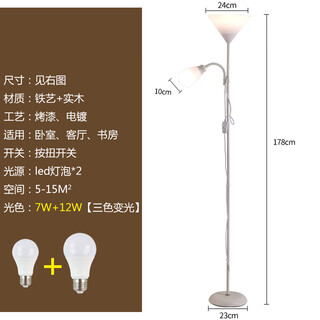 Nordic living room bedroom simple internet celebrity led modern decoration study multi-functional vertical lamp 5021 white model 12w+7w three-color dimming