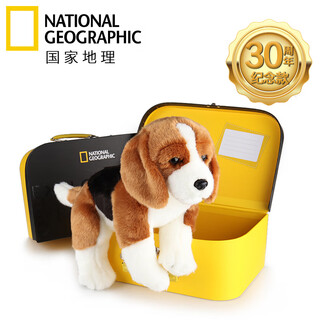 国家地理儿童礼物比格犬狗狗玩偶动物毛绒玩具生日礼物