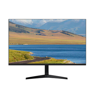 Leso computer monitor 24-inch monitor 100hz (straight)
