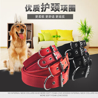 Dog collar soft leather comfortable non-stretching collar pet foam medium-sized dog collar dog collar leash set red single collar m size (width 2.0cm*length 50cm)