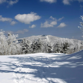 Swissotel wanfeng, tonghua, jilin december 29-january 1, 2024 deluxe twin bed (including ski equipment)