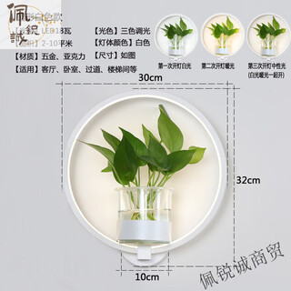 Miaopule modern minimalist nordic creative living room restaurant stair aisle lamp study bedroom bedside lamp hydroponic plant wall lamp round white led three-tone lighting