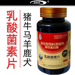 Veterinary lactobacilli tablets for pigs, cattle, sheep, and red deer to supplement probiotics to balance intestinal bacterial imbalance and feed additives