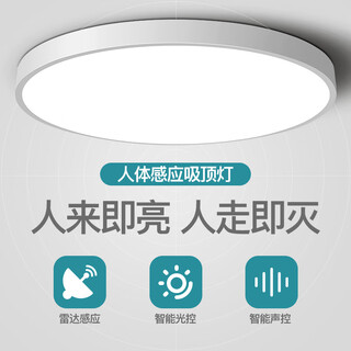 Leilei zhiguang led induction ceiling light voice-controlled radar human body sensor light corridor aisle corridor balcony home smart light round 40cm voice-controlled 24w default white