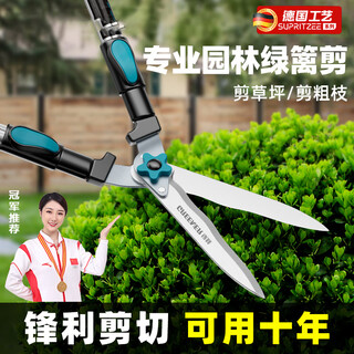German gardening scissors, lawn hedges, landscaping shears, seedlings, high branch shears, special scissors for pruning branches, straight blade garden shears + silver snake pruning blade 21