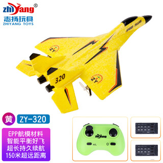 志扬玩具（ZHIYANG TOYS）遥控飞机泡沫手抛战斗机航模固定翼滑翔机耐摔无人机儿童玩具男孩