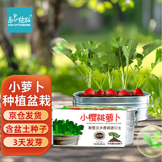 Iam city farmer potted radish diy planting fun radish seeds family vegetable gardening kindergarten children easy to grow 10100