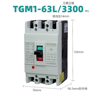 天正电气塑壳断路器100A400A6 10A TGM1-63L3300