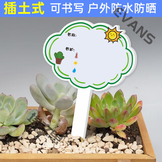 Xushansi kindergarten simulation pot brand gardening simulation flower pot simulation label signage succulent care brand diy handmade yhcd-04 10x16cm