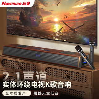 Newmine g69 pro echo wall speaker home ktv speaker set home theater tv speaker living room home wireless karaoke bluetooth speaker microphone