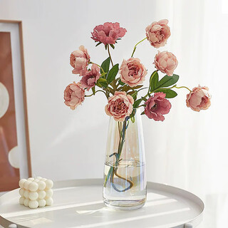 Extreme space glass vase vase hydroponic plant ecological vase flower container living room decorative ornaments aurora symphony