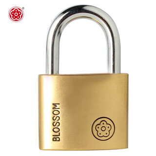 Plum blossom (blossom) copper padlock, waterproof and rust-proof office dormitory copper lock, outdoor warehouse door and carriage door lock bc9050
