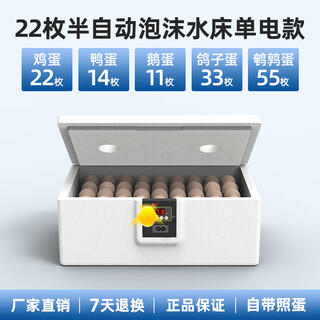 Clcey chick incubator fully automatic 2024 small household smart egg incubator mini water bed rutin chicken 22 pieces foam water bed electric (classic model with photo eggs