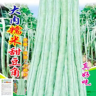 Super delicious big flesh glutinous rice sweet bean seeds white long beans sown in spring, summer and autumn white jade long cowpeas easy to grow vegetable poultry big flesh glutinous rice sweet beans seeds original quality 2 packs + fertilizer