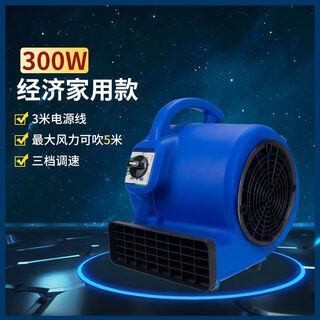 冷热风吹地机大功率商用小型低噪音家用地板地毯吹干机除湿卫生间 小型普通款300瓦自然风