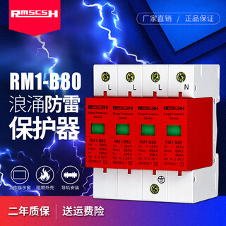Shanghai people's 2p/4p first-level surge protector 220/380v lightning arrester lightning switch surge protector anti-lightning three-phase-80ka (secondary)