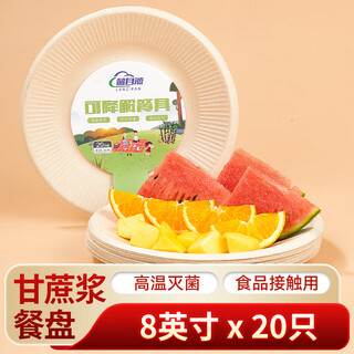 Blue nature disposable tableware plate large 8-inch 20-pack sugar cane biodegradable paper plate picnic camping outdoor dinner plate