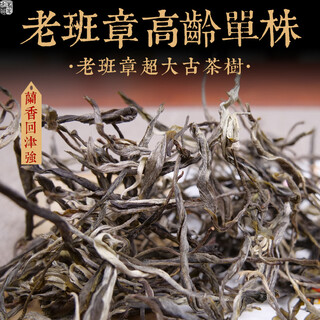 Mingguan zhongpin 23-year-old spring tea, lao banzhang aged single ancient tree loose tea, cow tea, yunnan ancient tree tea 500g