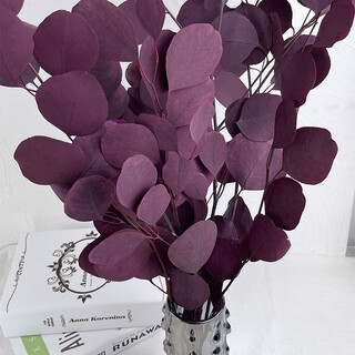 Immortal apple eucalyptus eucalyptus real flower interior decoration ornaments nordic style yunnan immortal flower purple 50-70cm approximately 100g a bouquet