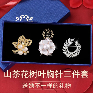 Dingjing brooch for women, high-end simple corsage, silk scarf, anti-exposure buckle, suit collar, brooch set, gift box, birthday gift, camellia brooch set box tw129