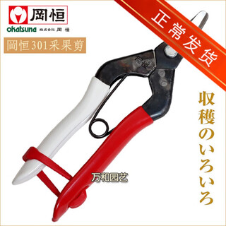 Meng xier gang heng 301 thin fruit scissors, fruit picking scissors, orchard fruit picking scissors, mushroom legs and head scissors gang heng 301's gang heng 301 tilts the head