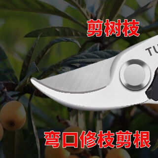 Fantasy japan's special scissors for pruning thick branches and saving effort. large and powerful stainless steel scissors for gardening and forest pruning. special scissors for flower and fruit picking. curved mouth and curved handle scissors with a 20-year warranty. japanese pruning.