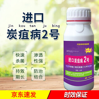 Imported no. 2 anthracnose fungicide, special medicine for peppers, cucumbers, tomatoes, watermelons, grapes and strawberries, 10 bottles, 500g/bottle