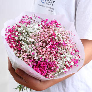 Aiman yunnan straight-haired dried flower bouquet real flower home furnishing decoration small fresh living room office decoration air-dried bouquet white + pink + rose red baby's breath without vase
