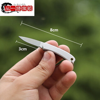 丛一楼德国进口品质不锈钢折叠锋利水果刀便携随身钥匙刀迷你小刀家用瓜 白 小号 刃长3cm 60°以下3cm8cm