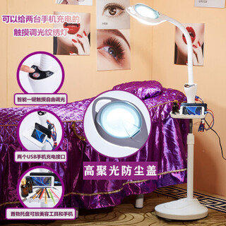 Meng qian'er beauty lamp pattern embroidery lamp led cold light portable manicure, eyelashes, acne, tattoo, eyebrow micro plastic surgery floor lamp 65/watt version no pulley touch dimming