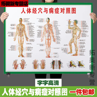 Miaopule human body acupoints high-definition illustrations complete chinese medicine health care human body meridian acupoints chart large wall chart whole body high-definition acupoints 001 green human body meridian acupoints comparison chart front side pp glue can be peeled off and can be pasted 145*210 cm = 100 inches