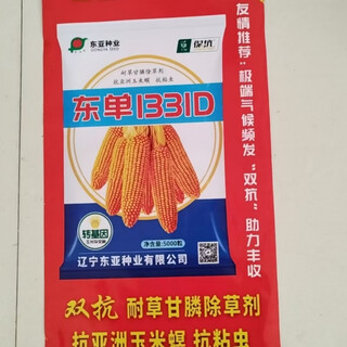 The latest approved dongdan 1331d double-resistant corn seeds are rust-resistant, non-bald, tip-resistant, ear rot-resistant and high-temperature resistant. dongdan 1331d is a truly upgraded version.