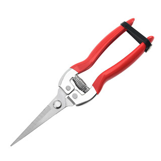 Jphznb farmer's helper fruit picking scissors fruit thinning scissors grape flower thinning scissors pruning pruning scissors citrus pepper special fruit picking scissors straight head dip plastic scissors