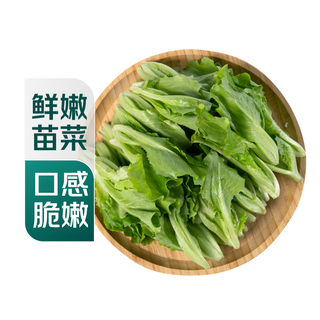 Fresh lettuce seedlings 250g