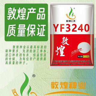 Высокоурожайные, короткостебельные семена кукурузы guohuang feitian 3420, крупная палочка, устойчивые к болезням, устойчивые к полеганию, засухоустойчивые, переувлажненные, устойчивые к высоким температурам. guohuang feitian 3420 (4500 зерен/мешок)