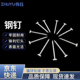 Zhuyu steel nails cement nails concrete nails decorative iron nails 45mm (200 pcs)
