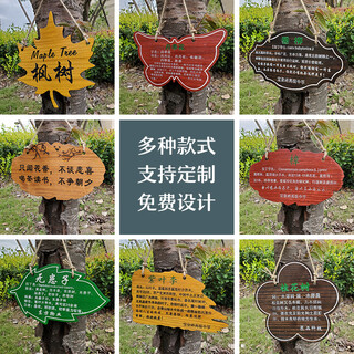 Chinese style beautiful courtyard garden balcony decoration door sign my courtyard time door wooden sign solid wood customization tree introduction sign customization