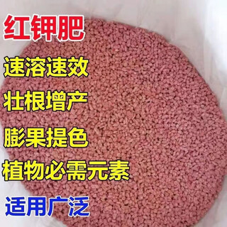 Wenshiou potash fertilizer wholesale russian imported high potassium high efficiency fertilizer general instant fertilizer for agricultural flowers, fruit trees and vegetables express 50jin jin is equal to 0.5kg factory direct sales quality assurance