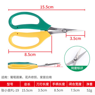 Zhang xiaoquan's upturned grape fruit branch pruning scissors, fruit thinning, fruit pruning, pepper fruit and vegetable scissors, loquat picking, sunshine roses, zhang xiaoquan fl-19 two-color
