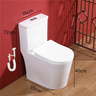 55cm小户型马桶家用小尺寸短款虹吸式大冲力抽水卫生间坐便器潮州 55cm虹吸式+ABS喷枪+自己安装 250mm